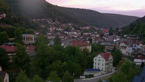 Webcam Bad Wildbad