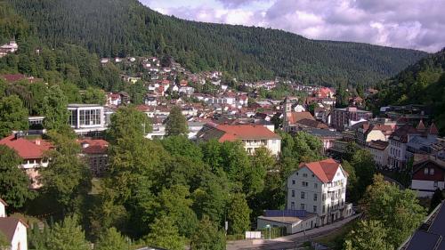 Webcam Bad Wildbad