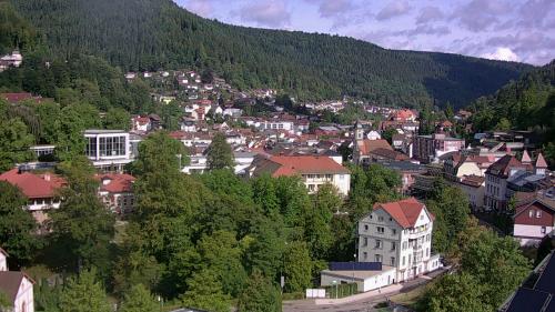 Webcam Bad Wildbad