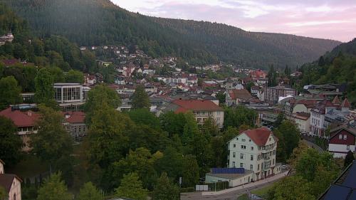 Webcam Bad Wildbad