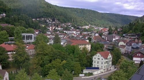 Webcam Bad Wildbad