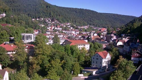 Webcam Bad Wildbad