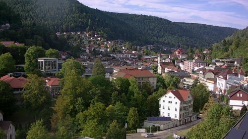 Webcam Bad Wildbad
