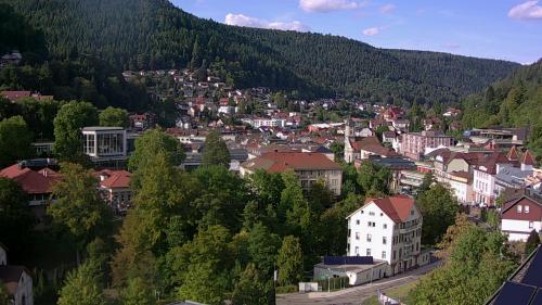 Webcam Bad Wildbad