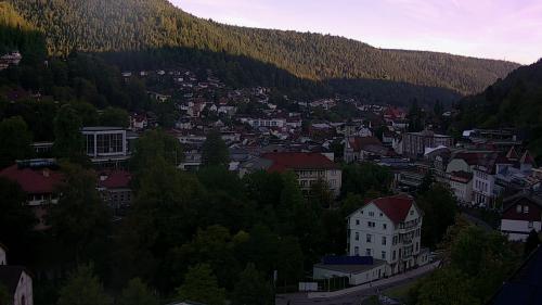 Webcam Bad Wildbad