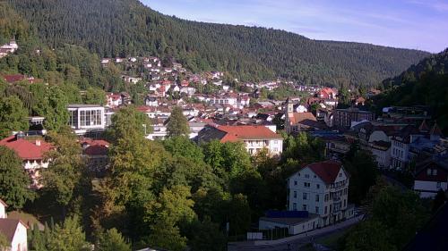 Webcam Bad Wildbad