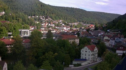 Webcam Bad Wildbad