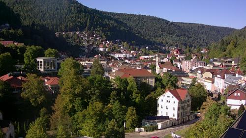 Webcam Bad Wildbad