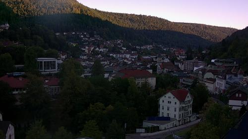 Webcam Bad Wildbad