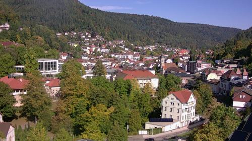 Webcam Bad Wildbad