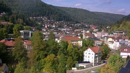 Webcam Bad Wildbad