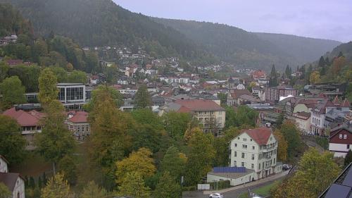 Webcam Bad Wildbad