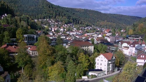 Webcam Bad Wildbad