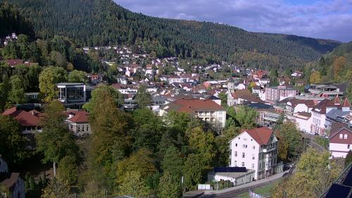 Webcam Bad Wildbad