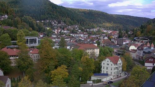 Webcam Bad Wildbad