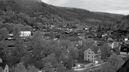 Webcam Bad Wildbad