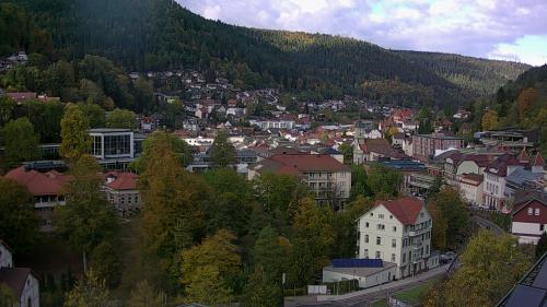 Webcam Bad Wildbad