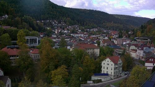 Webcam Bad Wildbad