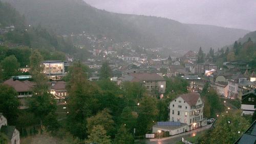 Webcam Bad Wildbad