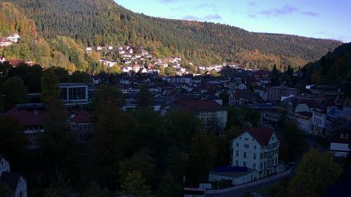 Webcam Bad Wildbad