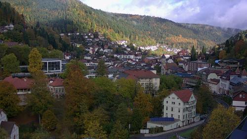 Webcam Bad Wildbad
