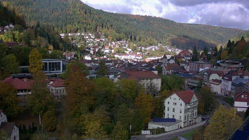Webcam Bad Wildbad