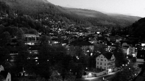 Webcam Bad Wildbad