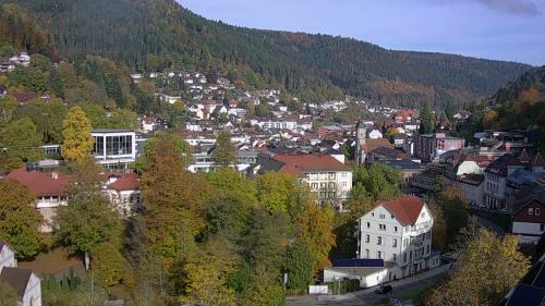 Webcam Bad Wildbad