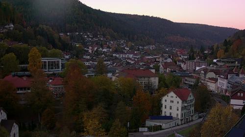 Webcam Bad Wildbad