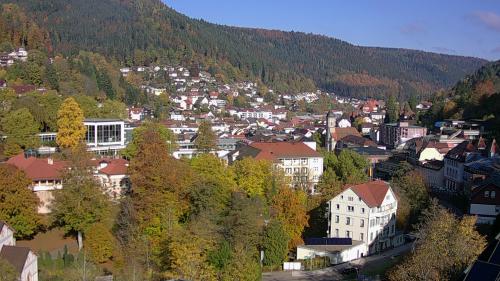 Webcam Bad Wildbad
