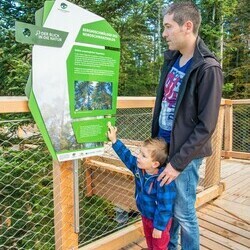 Infotafel am Baumwipfelpfad - Ausflugstipp Wellnesshotel Rothfuss